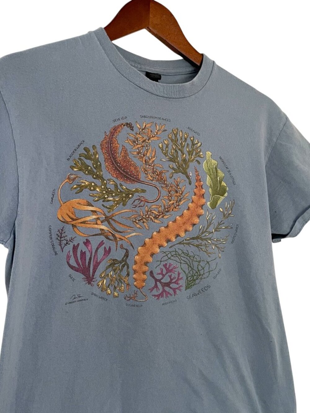 Liberty Graphics Maine Seaweeds T Shirt Medium M Blue Nautical Plants Art Print